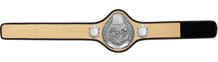 THAI BOXING CHAMPIONSHIP BELT-PRO301/S/TBOS- 10 + COLOURS THAI BOXING CHAMPIONSHIP BELT-PRO301/S/TBOS- 10 + COLOURS